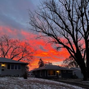 Meet your Posher, Annie